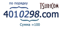 4010298 телефон и сайт компании TsuriCom